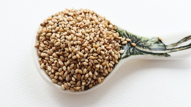 sesame seeds for sesame oil