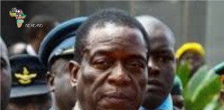 WHO IS EMMERSON MNANGAGWA?