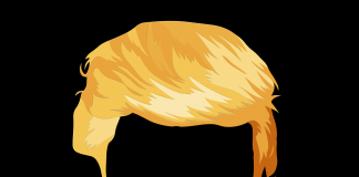 Your Pick: A Corrupt African Leader or Trump?