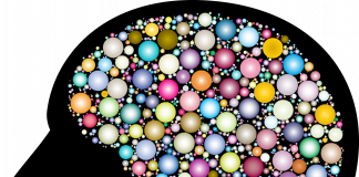 Get Smarter Daily with the Following