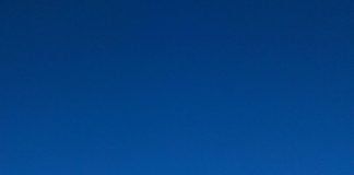 Immigrants from China and from Africa