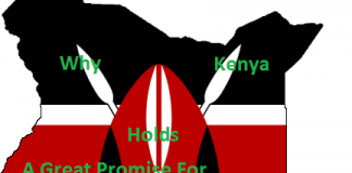 7 Great Reasons Why Foreign Investors Should Invest in Kenya| Foreign investment