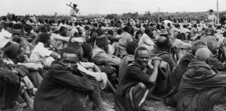 The Kenyan Sung Heroes and How they Shaped the Nation| Mashujaa Day