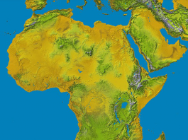 Cut Out The Blame Game Africa