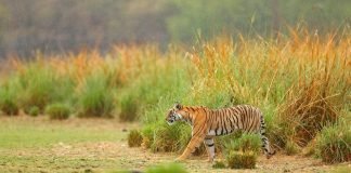 Stop Worrying that you are Different