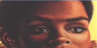 Unknown but true African leaders|Black History Month