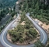 When The Going is Tough: Say,Think, and DO