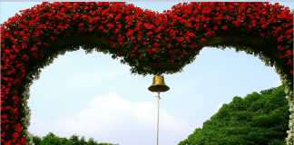 What does Valentine’s Day mean? Valentine’s Day