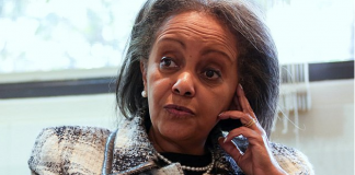 Sahle-Work Zewde Achievements and how she has transitioned Ethiopia | Women, and leadership