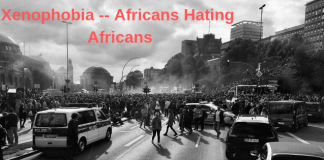 Africans Hating Africans — Xenophobic Attacks and the Way Forward
