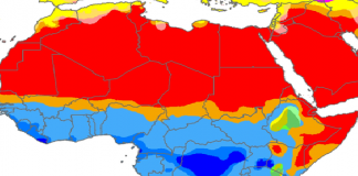 How Africa is losing billions to the rest of the world every year |Africa, poverty and Development
