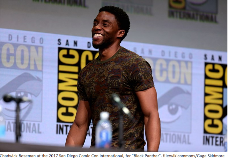 The new role Black Panther star Chadwick Boseman will play revealed
