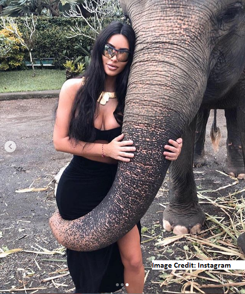 Kim Kardashian Supports Elephant Cruelty