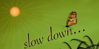 How To Be More Productive By Slowing Down