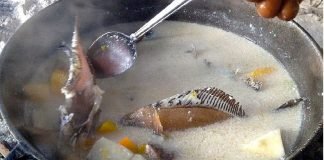 Jamaican Fish Tea Recipe and Why You should consider adding it to your Diet fish tea