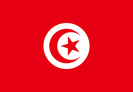 Tunisians Prefer Political Outsiders to Lead
