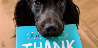 10 Reasons to be grateful during the Covid-19 pandemic hard times