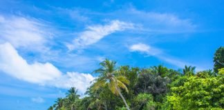 African Travel Bucket List Ideas: 20 Exciting Ways To Experience African Culture African Travel Bucket List Ideas