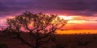 How Well Do You Know Africa?: 31 Fascinating Facts About Africa