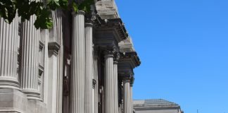 Gyms, Museums, Bowling Alleys in New York Are Set to Reopen Metropolitan Museum of Art