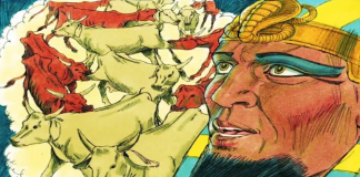 Youth One and Youth Two: Nigerian Protests Youth One and youth Two- AfroGist Media