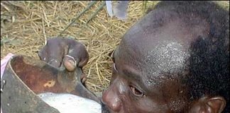 Natural Aphrodisiacs that African Men Keep as Secret