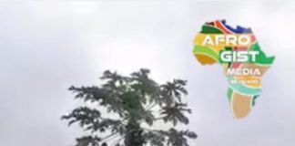 A Wonder Pawpaw Tree in Nigeria