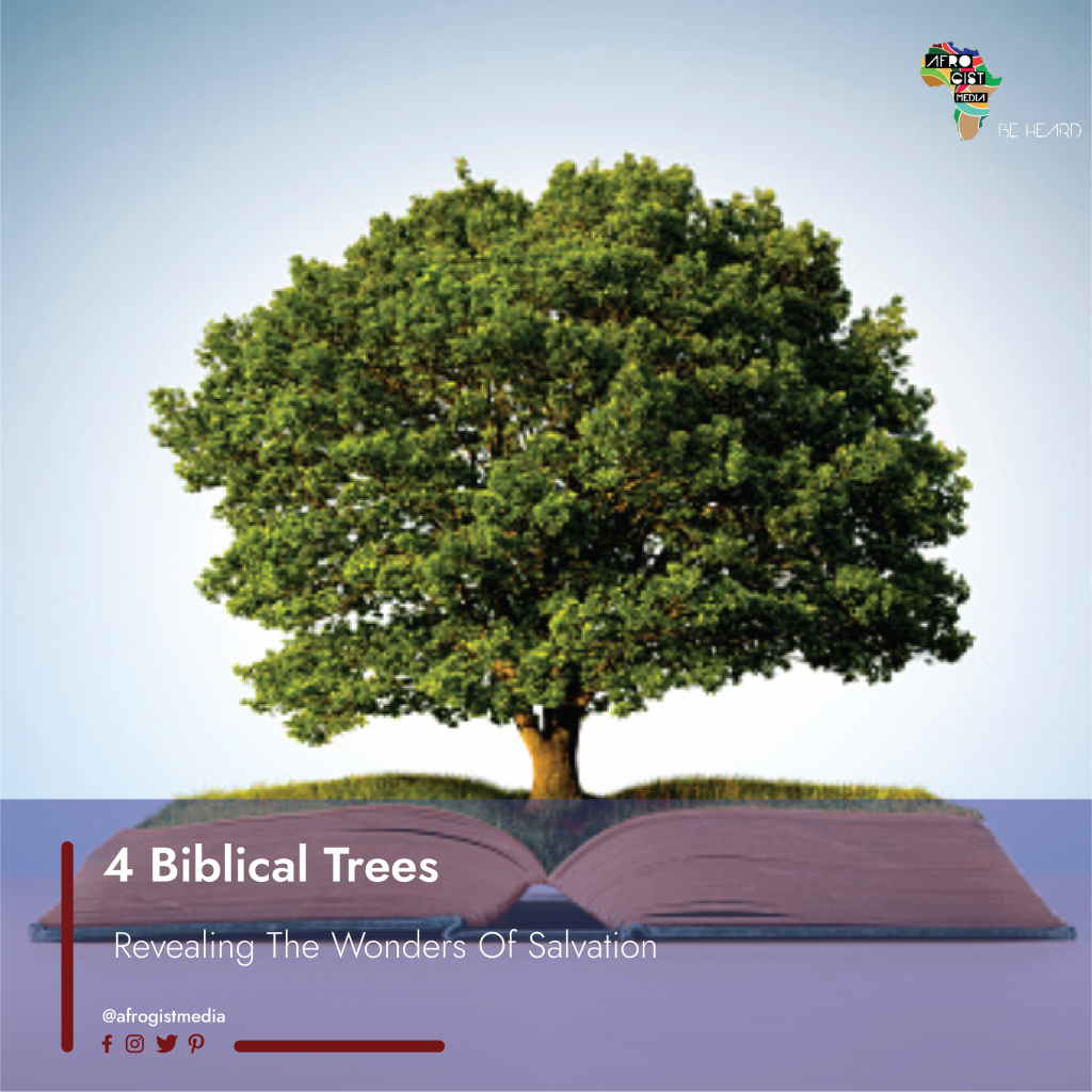 4 Biblical Trees That Reveal The Wonders Of Salvation Afro Gist Media