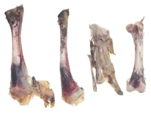 Chicken bone marrow